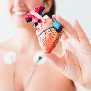 Sistema Cardiovascular